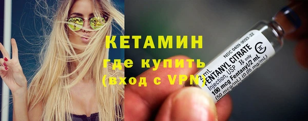 гашик Дмитриев