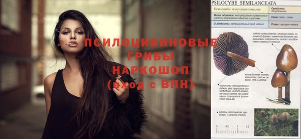 гашик Дмитриев