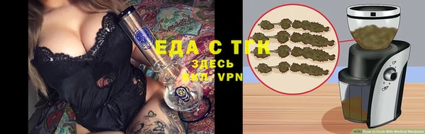 гашик Дмитриев