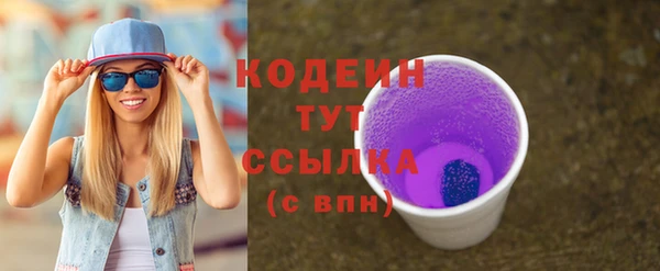 гашик Дмитриев