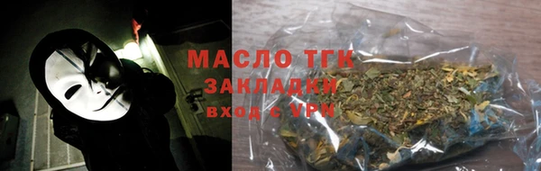 гашик Дмитриев