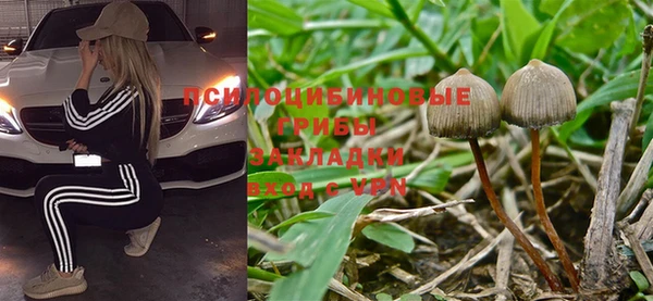 гашик Дмитриев