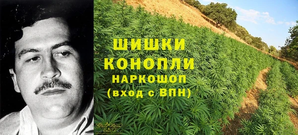 гашик Дмитриев