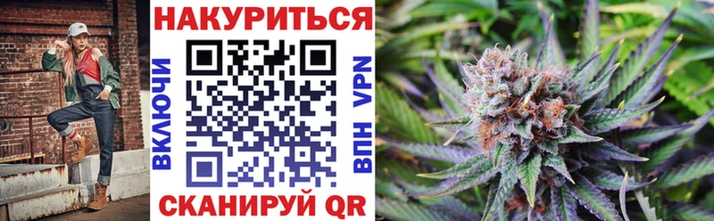 Каннабис планчик  цена   Хасавюрт 